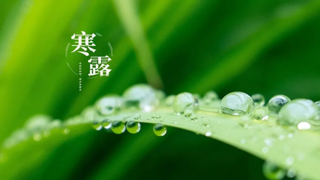 寒露节气 | 越来越冷，寒露节气如何养生？点开这篇为天冷做准备