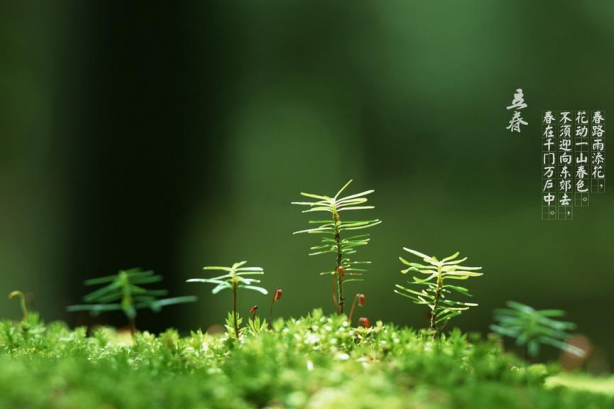 立春养生记住这几点，给一整年的健康开个好头！